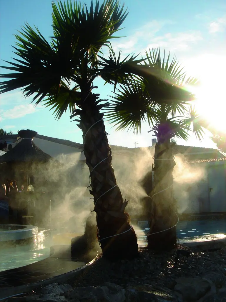 CLIMEXT - PISCINE - BRUME ARTISTIQUE (6).webp